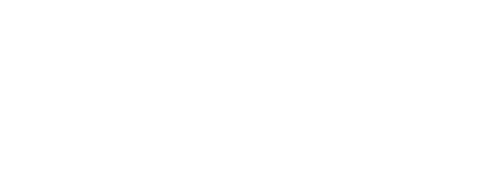 關于西迪